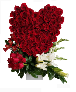 Red roses heart