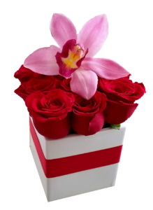 Red Roses Box With An Orchid Love Flowers