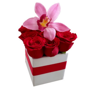 Red Roses Box With An Orchid Birthday Flowers