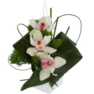 Coral Gables Flower Delivery
