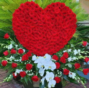 RED ROSES IN THE SHAPE OF HEART