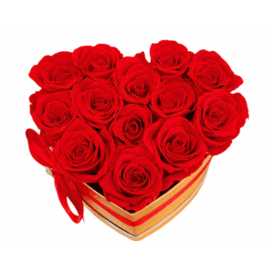 Preserved-Red-Roses-Heart-Box