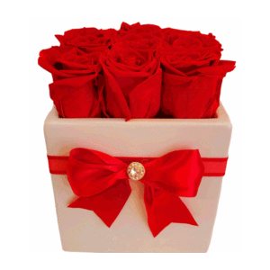 Red-Preserved-Roxes-White-Box