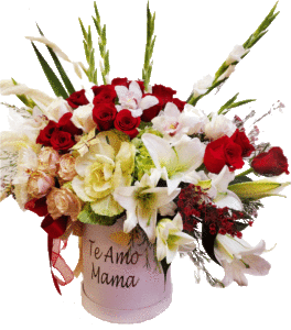 personalized Red and white flowers box Te Amo mama