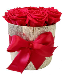 Luxury Red Roses Detail (2)