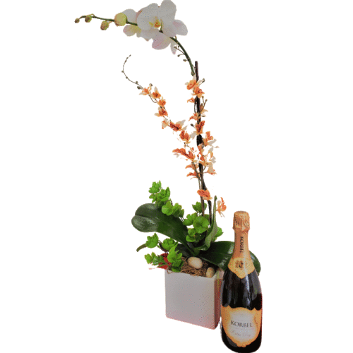 Beautiful White Orchid Arrangement + bottle