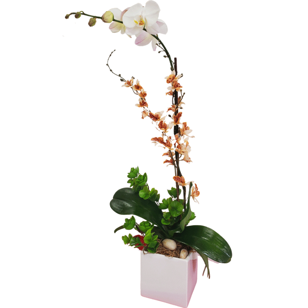 beautiful white orchid arrangement