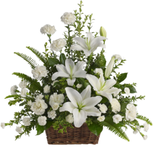 basket of orchids