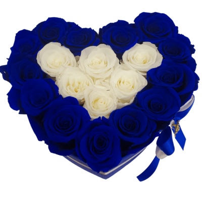 Blue and white Preserved Roses that last year in a heart box