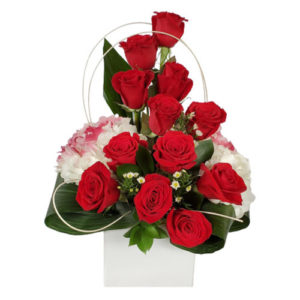 Red Paradise Red Roses and Hydrengeas Flower Arrangement