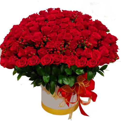 100-Red-Roses-Extravaganza