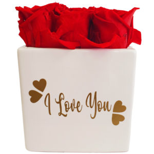 Preserved-Red-Roses-Box