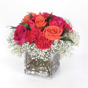 Make this rich bouquet of hot pink and coral roses and red carnations in a classic clear cube.