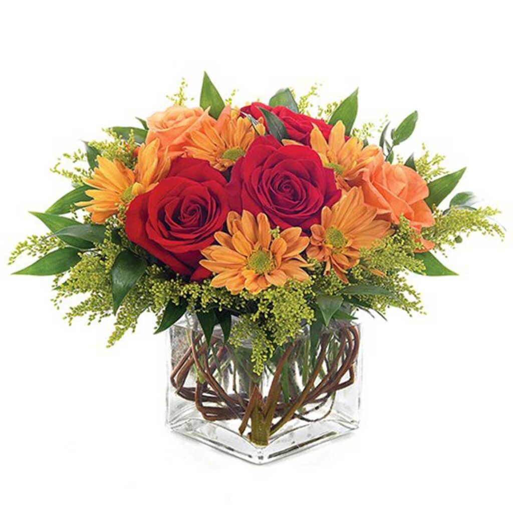 This stunning arrangement featuring roses, daisies, solidago, Italian ruscus and curly willow in a charming clear glass cube vase.